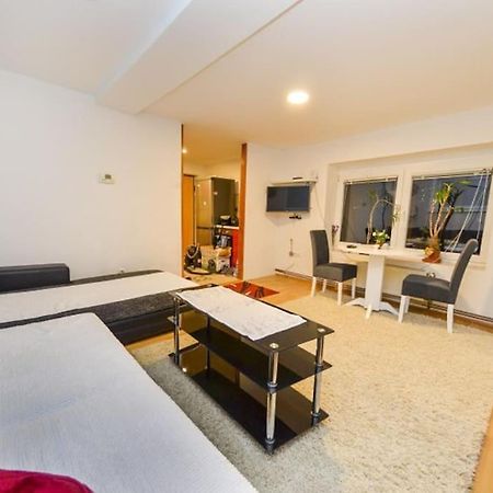 Apartment In Saraybosna Dış mekan fotoğraf